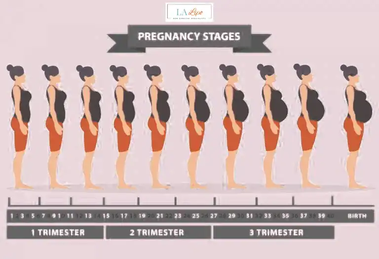 First Trimester (Weeks 1–12): Early Changes You Might Not Notice Wood Green